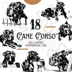 Könnte beinhalten: Ein Set mit 18 Schwarzweiß-Vektorillustrationen von Cane Corso Hunden in verschiedenen Posen. Die Illustrationen sind in einem einfachen, minimalistischen Stil gehalten und eignen sich perfekt für die Verwendung in einer Vielzahl von Projekten, wie z. B. T-Shirts, Tassen, Aufklebern und vielem mehr.  SVG Clipart Kommerzielle Nutzung.
