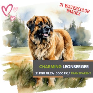 Charmante Leonberger clipartcollectie, 21 afbeeldingen van hoge kwaliteit, aquarel clipart, hond sublimatie, waakhond print, realistische hond