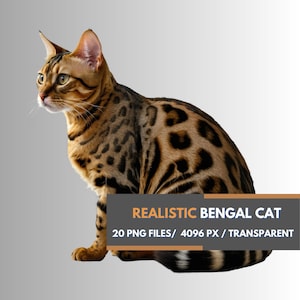 Lot de chats Bengal réalistes | 20 fichiers PNG transparents | Inspiré par de vrais chats | Téléchargement numérique haute résolution pour travaux manuels et projets