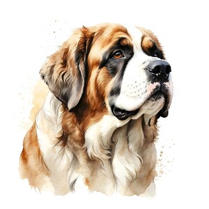 Bernhardiner Clipart, 16 hochwertige JPG, Digitaler Hund Art Pack, Digitaler Planer, Aquarell Hund, Kartenherstellung Journaling Wandkunst Großer Hund