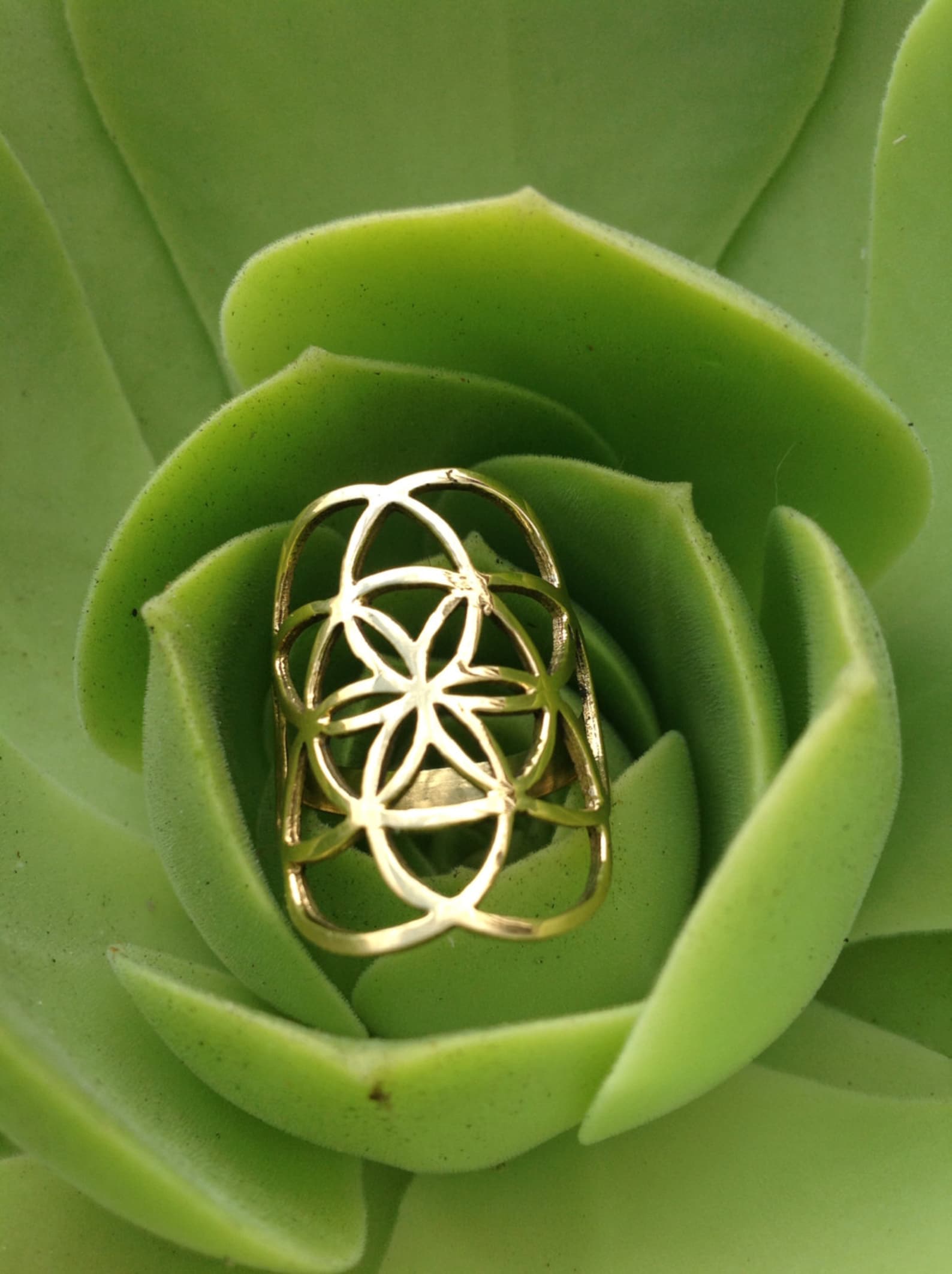 Flower of Life Ring Seed of Life Ring Sacred Geometry Ring Etsy