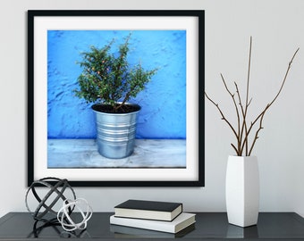 Rustic Chic Plant Pot Photo tin pot small plant blue wall nature garden art big print poster cottage style rustic chic wall art home decor