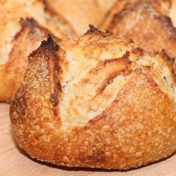 Sourdough Mini Loaves, mini sourdough artisan loaves, sourdough bread