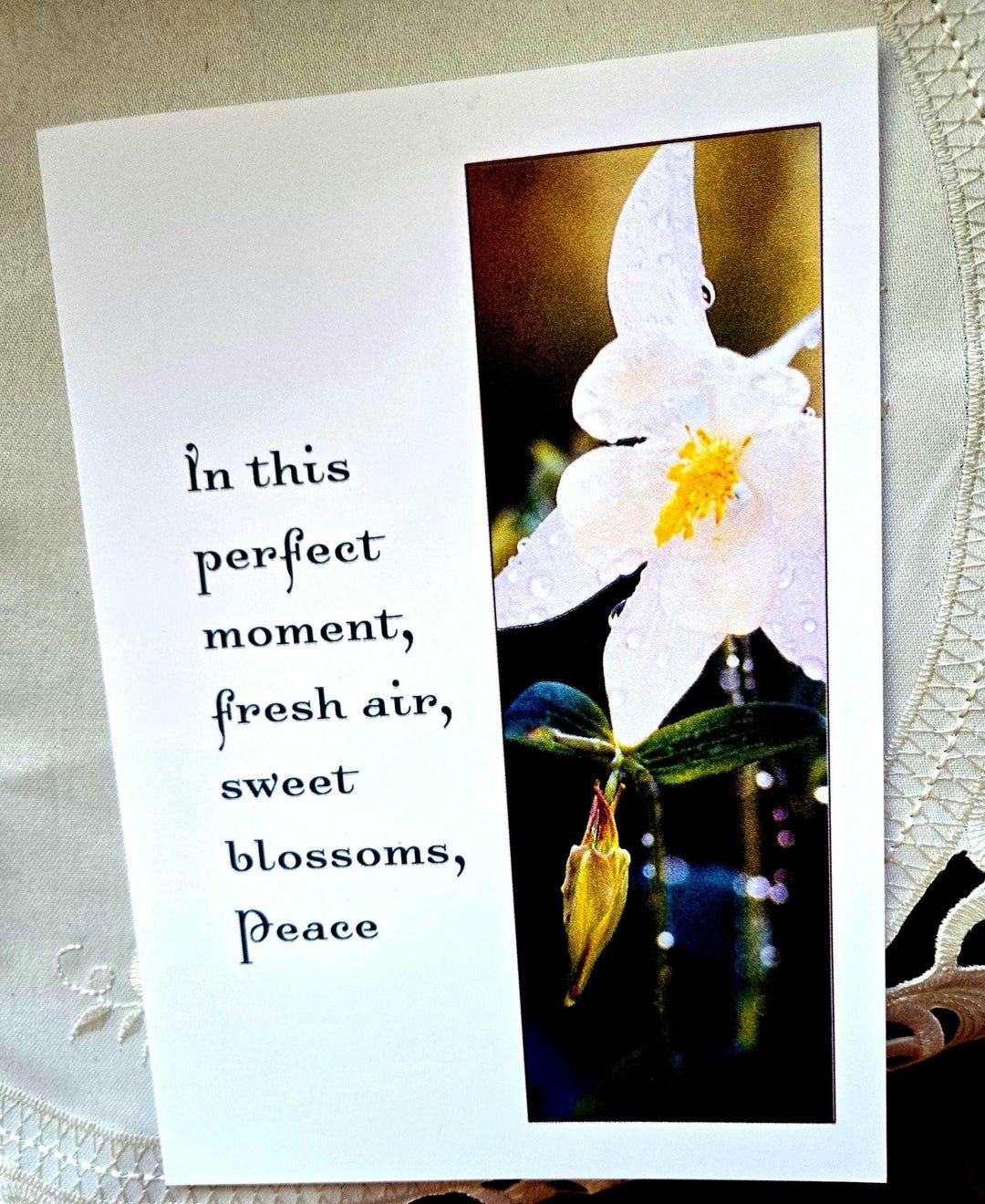 Artistic Photo Note Card Set Blank Inside for Personal Messages ...
