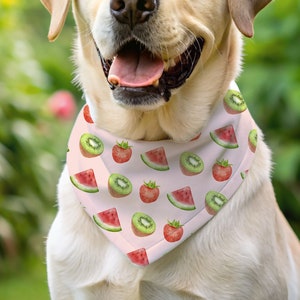 Juicy Fruits Over-the-Collar Summer Dog Bandana, Fruit Bandana for Dogs, Seasonal Dog Bandanas, Dog Beach Accessories, Dog Summer Clothes