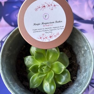 Magische magnesiumboter, natuurlijke holistische kruidencrème voor pijnverlichting, botanische wellnessremedie