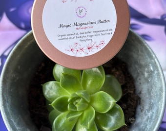 Mantequilla mágica de magnesio, crema holística natural para aliviar el dolor, remedio botánico para el bienestar.