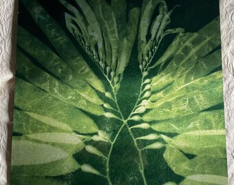 Cyanotype Kelp Print on Metal- La Jolla Kelp Forest - Green
