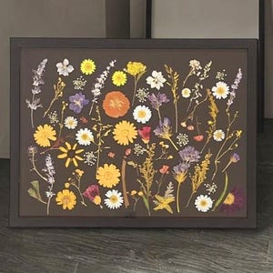 Pressed Flower Wall Art: 17x13 Framed Botanical Decor