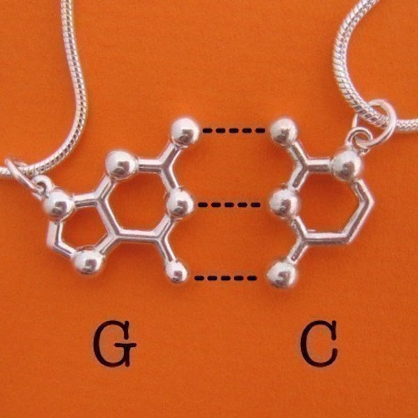 friendship necklace set - DNA and RNA base pairs