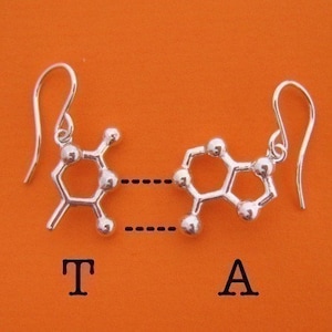 base pair earrings choose your favorite DNA and RNA nucleotide bases image 2