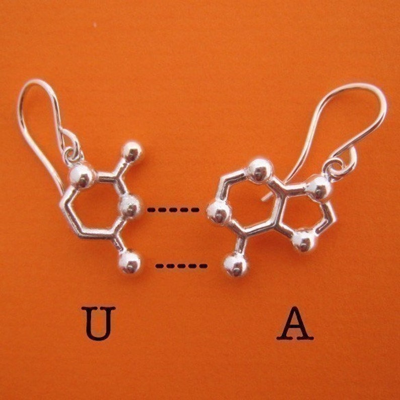base pair earrings choose your favorite DNA and RNA nucleotide bases image 1