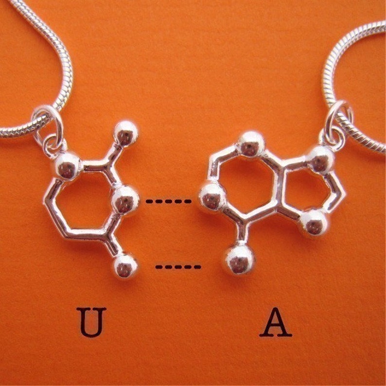 friendship necklace set DNA and RNA base pairs image 3