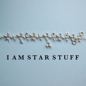 Mad Scientist challenge - I AM STARSTUFF necklace