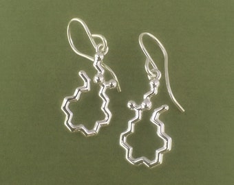 anandamide bliss molecule earrings in sterling silver