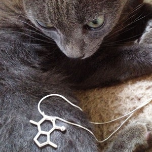 catnip molecule necklace - sterling silver molecular pendant