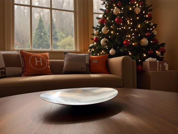 Brushed Stainless Steel Oval Plate – Modern Minimalist Centerpiece (13x10 in) thanksgiving christmas decoration