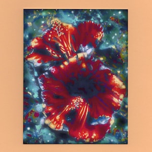 Blumenkarten, Künstlerische Karten, Hibiskuskarte, Blumen, Geburtstag, Muttertag, Danke, gute Besserung, Glückwunsch, Ruhestand, plebejische Geschenke ©
