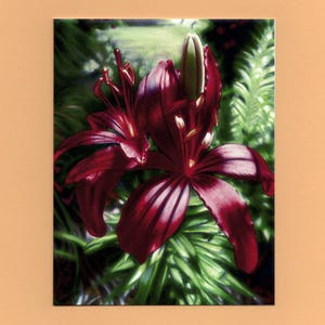 Blumenkarten, Künstlerische Karten, Lilienkarte, Blumen, Geburtstag, Muttertag, Danke, gute Besserung, Glückwunsch, Ruhestand, plebejische Geschenke ©