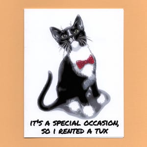 Cartes drôles de chat, Cartes d'anniversaire, Carte d'anniversaire drôle, Anniversaire de chat, Chat mignon, Chat smoking, Chaton, Carte de voeux, Anniversaire de Noël, Cadeaux plébéiens ©