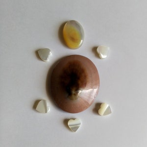 Mixed Set for Turtle Tutorial 38mm x 30mm Limpet shells Mother of pearl beads MOP Heart Butterflies- for Tutorial DESTASH by enchantedbeads
