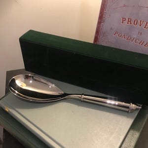 May include: A silver serving spoon with a long, slender handle and a rounded bowl. The spoon is resting on a green book with a book titled "PROVES TO PONDICHE" on top of it.