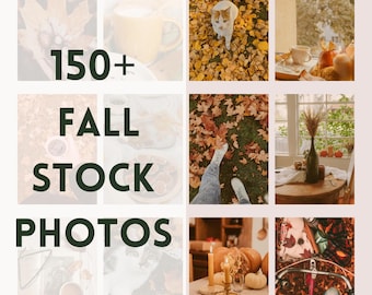 Paquete de fotografías de otoño, fotografías de otoño sin rostro, derechos de reventa, fotografías cálidas de Halloween, fotografías de stock de marketing sin rostro, imágenes de estilo de vida rústico