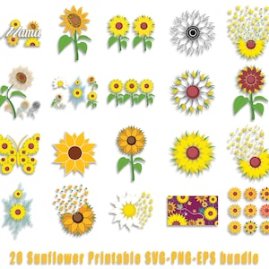 Sunflower svg Bundle, Sunflower svg, Sunflower Quotes svg, Kindness SVG, Bee Svg, Svg Files for Cricut, cut file, eps png svg, SvgCraftor