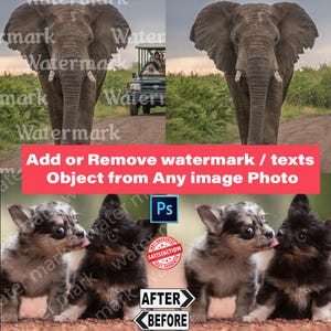 Könnte beinhalten: Ein geteiltes Bild, das Fotobearbeitungsdienste präsentiert. Die obere Hälfte zeigt einen Elefanten und ein Safari-Fahrzeug. Die untere Hälfte zeigt Welpen. Der Text lautet "Add or Remove watermark / texts Object from Any image Photo."