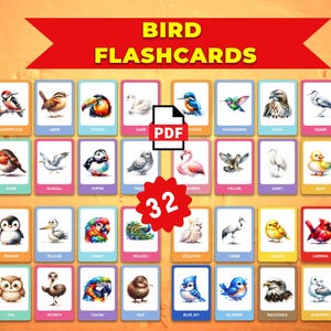 Carini uccelli Montessori Cards • Nomenclatura delle Flash Cards FlashCards PDF Schede stampabili Giocattoli per la scuola materna Flashcard