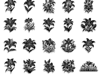 Lily Name / Flower -- Digital Design -- PNG + SVG Download - Etsy