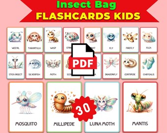 Insect Flash Cards: Montessori Nomenclature Cards (PDF Printable)