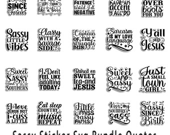 Freche Retro Hausfrau PNG Bundle: Sarkastische SVG Aufkleber (Digitaler Download)
