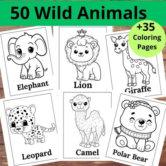 Página Para Colorear De Encontrar Animales De La Jungla