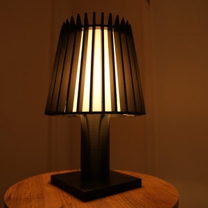 Rana Home Modern Table Lamp