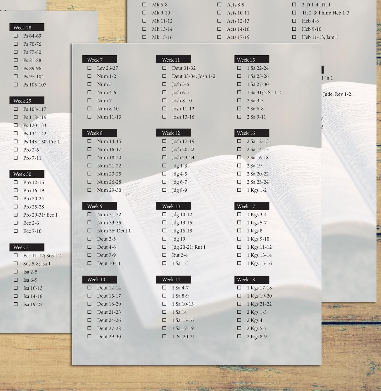 Yearly Bible Reading Plan Digital, Bible in A Year Plan, Mens Bible ...