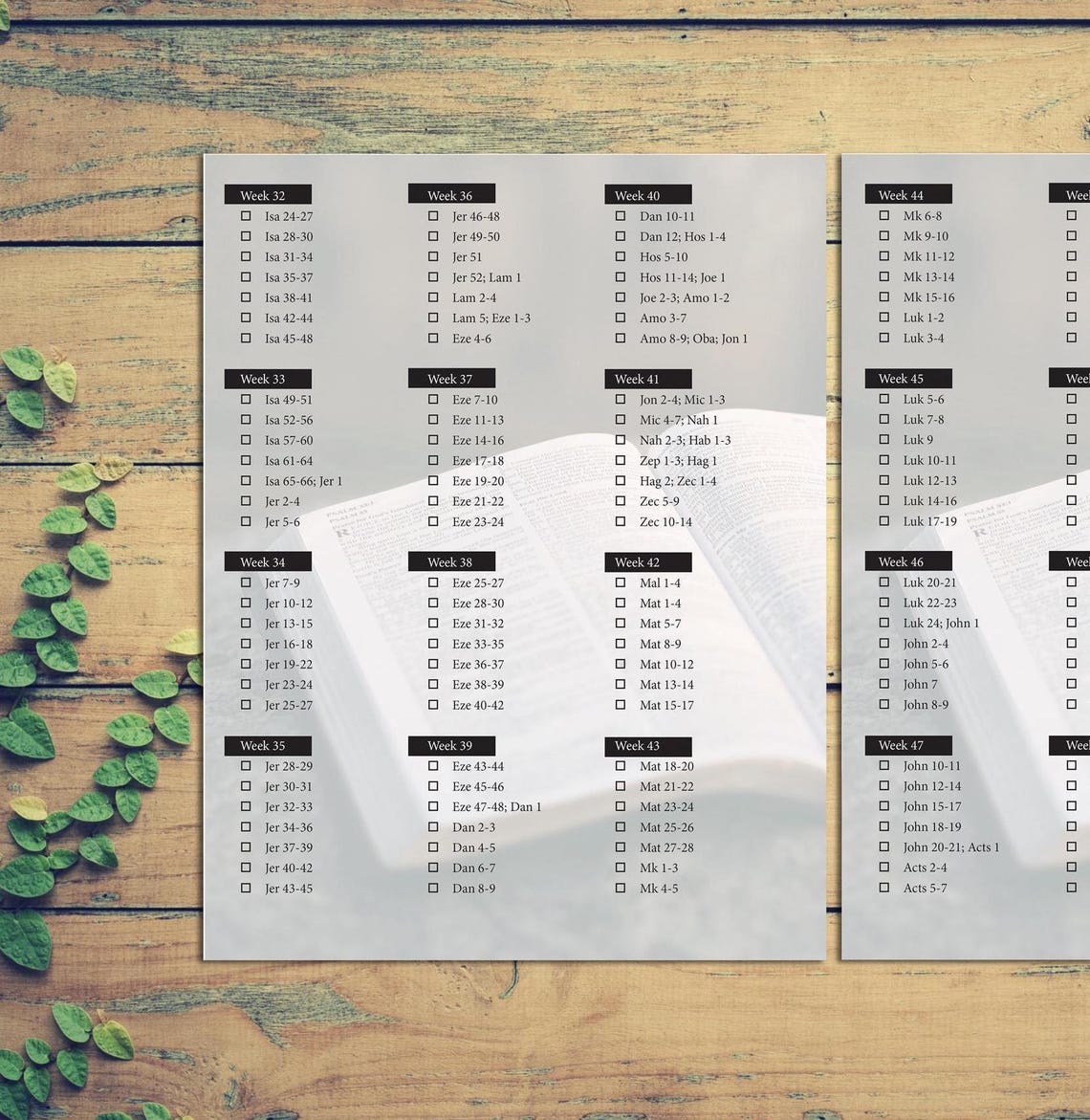 Yearly Bible Reading Plan Digital, Bible in A Year Plan, Mens Bible ...