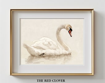 May include: A white swan with a red beak is swimming in a calm body of water. The swan's neck is curved into an S shape. The background is a soft, light beige colour. The image is framed in a gold frame with a white mount.