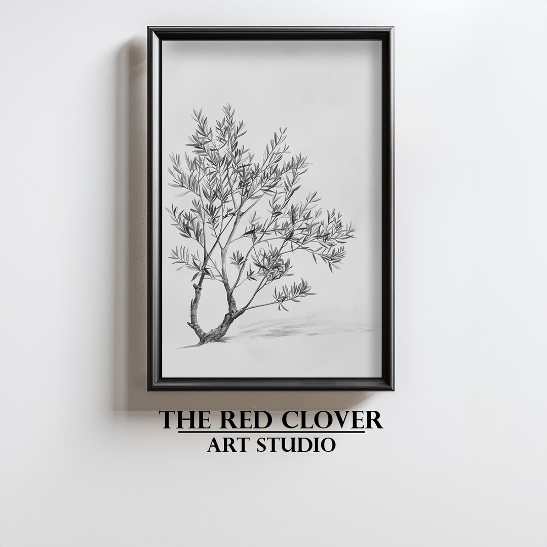Olive Tree Wall Art Olive Tree Printable Tree Illustration Vintage ...