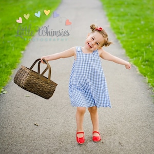 Handmade Dorothy Wizard of Oz Halloween Costume, Dorothy Blue Gingham Newborn, Baby, Toddler, Girls Costume Dress, Handmade Ready to Ship