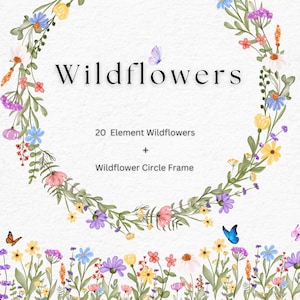 Watercolor Wildflowers Clipart and Wreath, Wildflowers Clipart Png, Botanical Floral Wreath, Bright Flowers Wreath Png, Birthday PNG