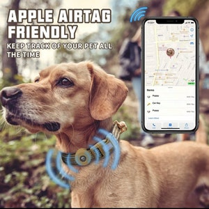 High-Quality Reflective Air Tag Dog Collar-Track Your Dog in Real Time