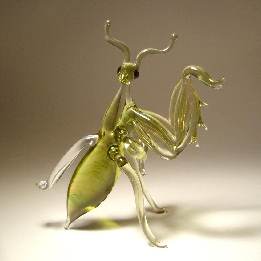 【aviso gold】PRAYING MANTIS 5'6 TINT aviso gold】PRAYING MANTIS 5'6 TINT aviso gold】PRAYING