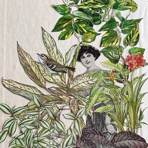 The Master Gardener. Original collage. image 1