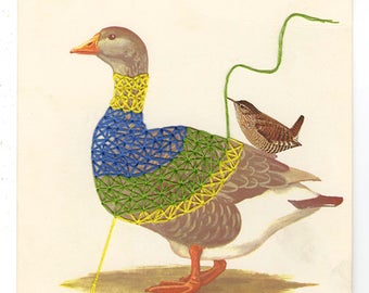 Wrens take a gander at dressing a goose. Original collage by Vivienne Strauss.