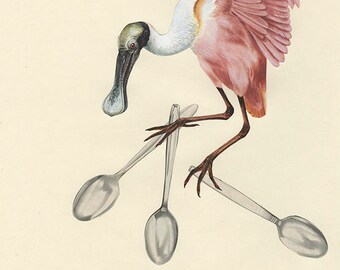 A spoonbill steals the silver. Collage print by Vivienne Strauss.