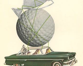 Palm warblers win big. Original collage by Vivienne Strauss
