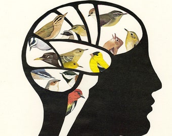 Bird Brain.  Limited edition print by Vivienne Strauss.