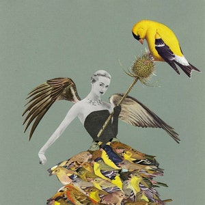 Ms. Finch. Limited edition printby Vivienne Strauss.