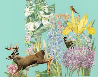 Oh, deer! Original collage by Vivienne Strauss.